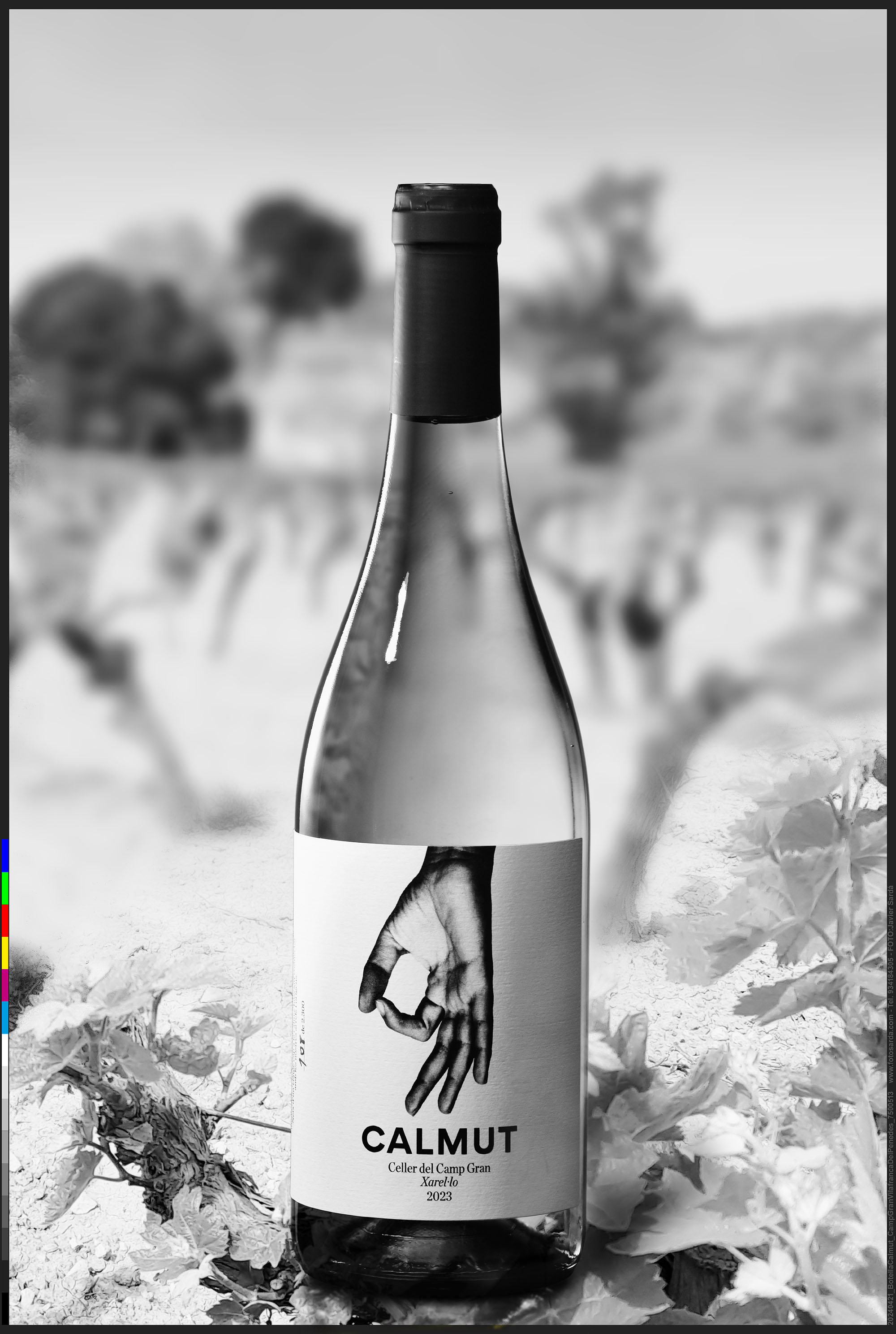 20240422_BotellaCalmut_CampGranVilafrancaDelPenedes_7500513 copia